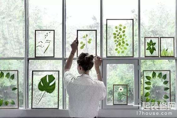 可能你不会养绿植,那就通过这些,给家添点绿吧! 可能你不会养绿植,那就通过这些,给家添点绿吧!